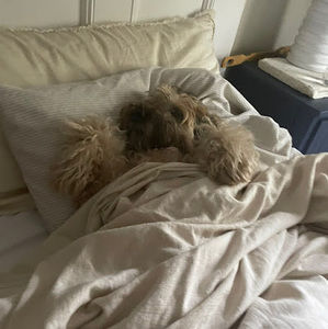 Meet your Posher, Amelia